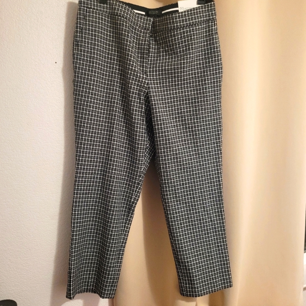 ANN TYLOR ankle petite pants New